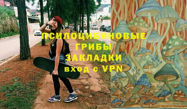 дживик Алзамай
